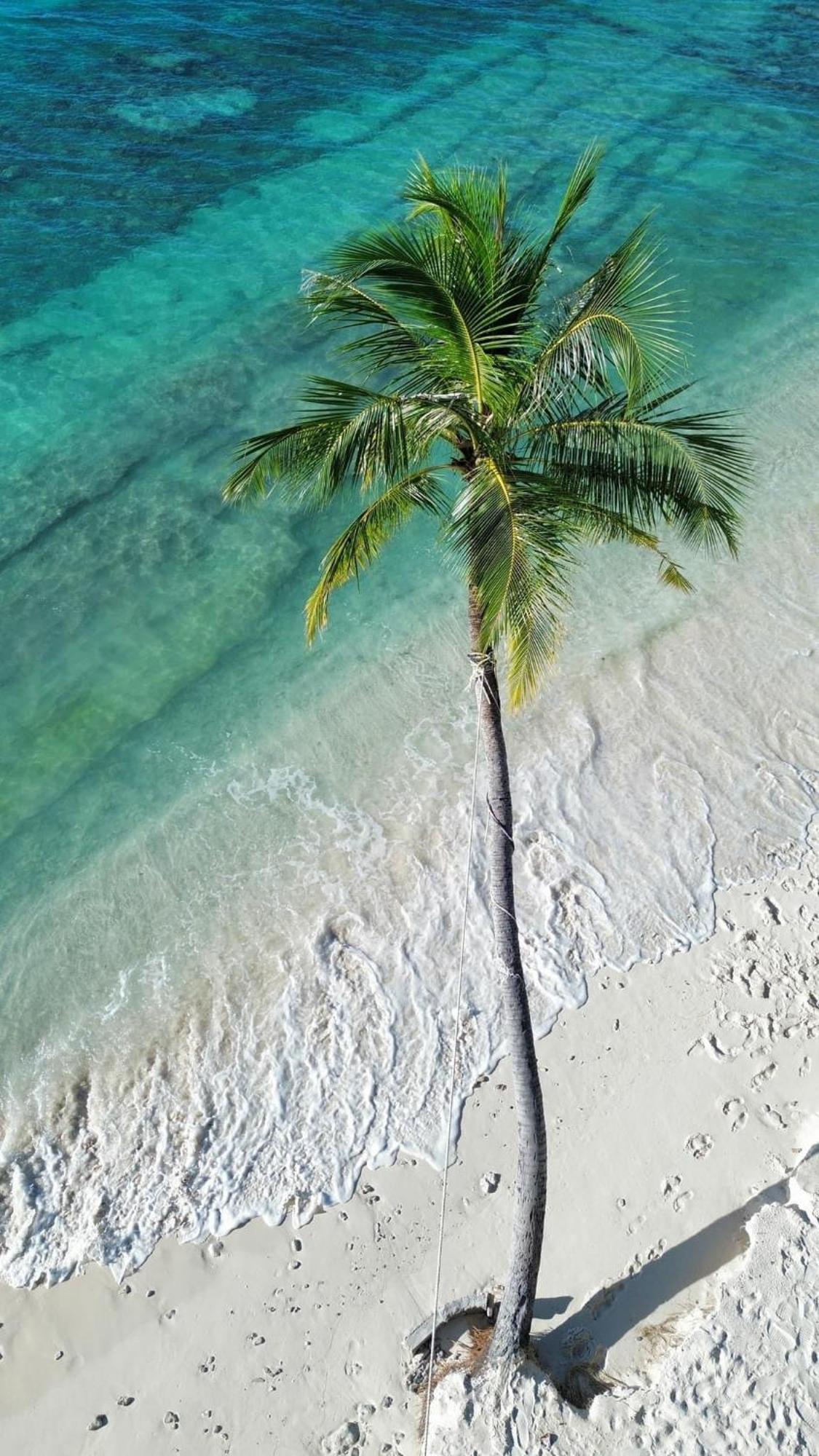 Island Scuba Inn Dhangethi Exterior photo