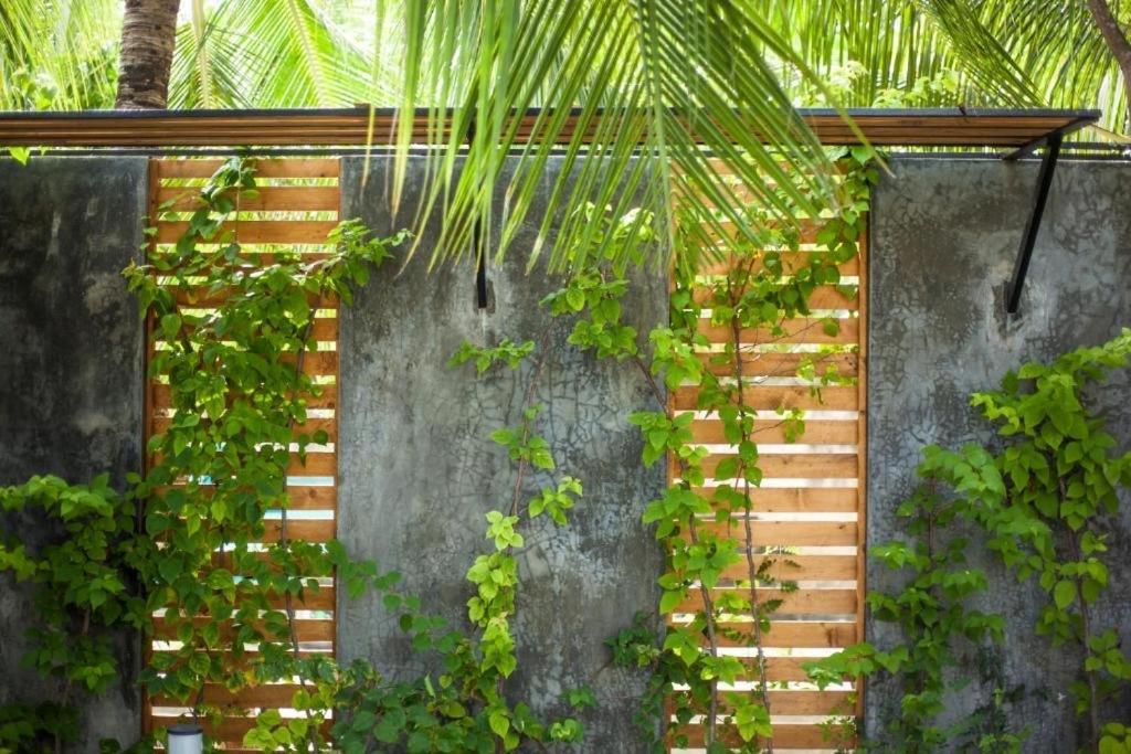 Island Scuba Inn Dhangethi Exterior photo